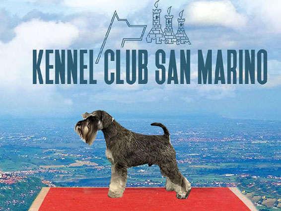 Peppergabito Get Crazy